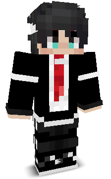6x12's skin