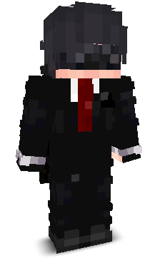 RacerMC's skin
