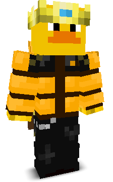 ok1ar's skin