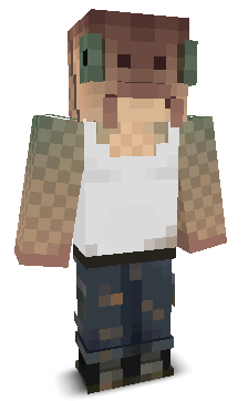 NoHackMePlz's skin