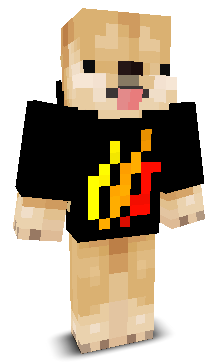FireDoge593's skin