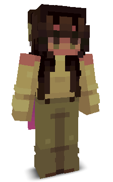 8BitRandom's skin