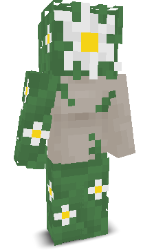 noskai_'s skin