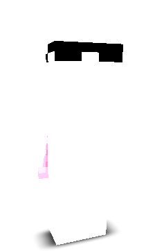 VoxelLOL's skin