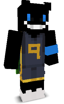 skdajfjdfnvsd's skin