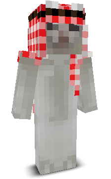 6969zl's skin
