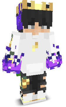 Sujashop's skin