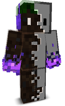 player_9086L's skin