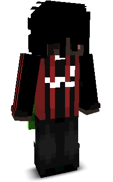 Mr_bamboo_17's skin