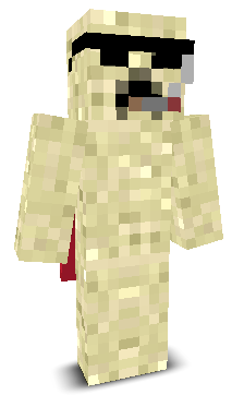NEicanflyLOOSE's skin