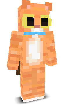 RudiFrags's skin