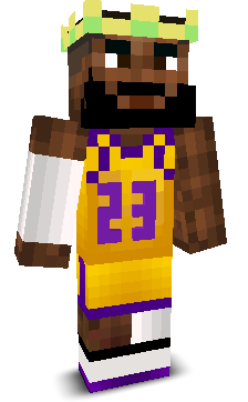lebronbubu's skin