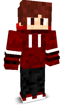 mozi_1's skin