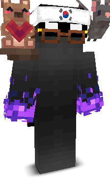 PlayHigh's skin