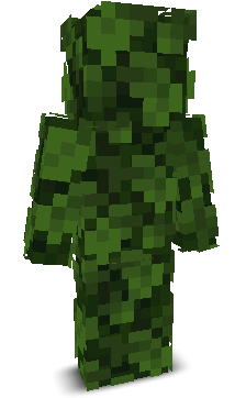 baqyya's skin