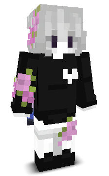 niznik's skin