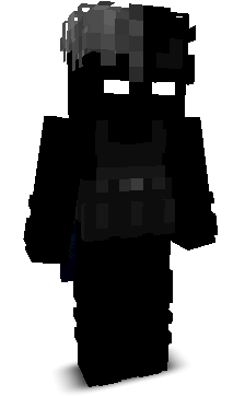 FluxSanguin's skin
