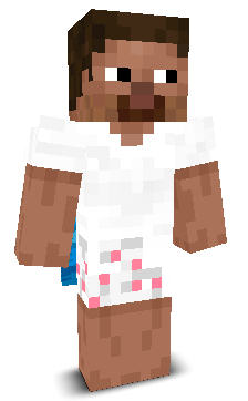 StevesLavaChiken's skin