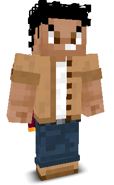 0Bitcoin's skin