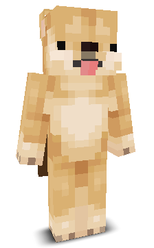SHORTDOG_OOOOOOO's skin