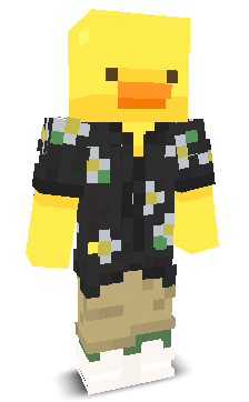 nixi2137's skin