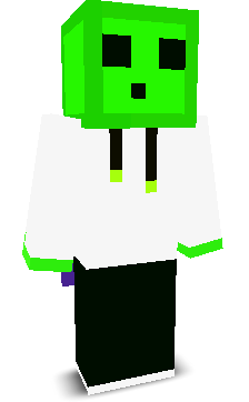 _Pally's skin