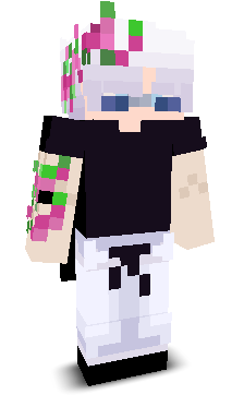 _najemnik's skin