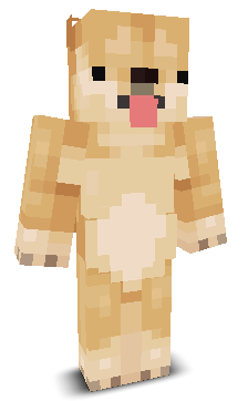 DanTheDoge702's skin