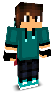 Delfonic's skin