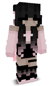 InetAddress's skin