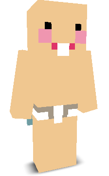 Itz_n0thinMC's skin