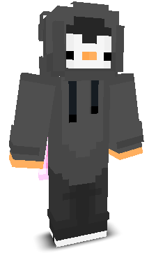 P3ngu1n24_'s skin