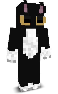 T8xicv1v's skin