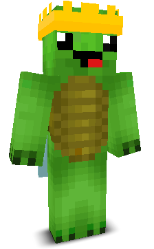hn5_yt's skin