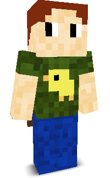 spinerpro's skin