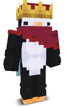 Kingcraft1203's skin