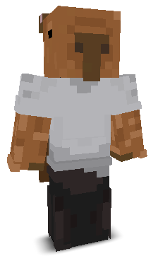 Nickelllll's skin