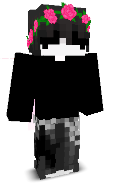 chlwq's skin