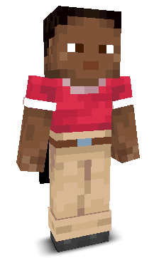 pladin's skin