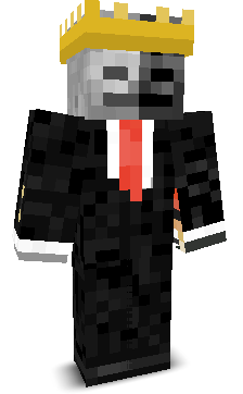 TheLionKing008's skin