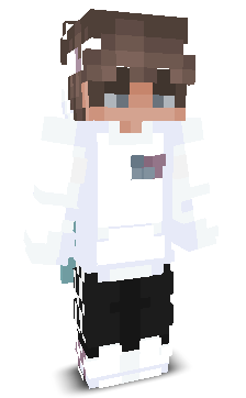 Conc1usions's skin