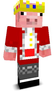 Technoblade1st's skin
