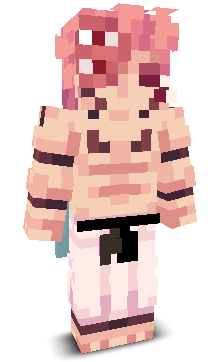 cixcarisma's skin