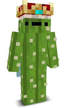 PhamKhietNhu's skin