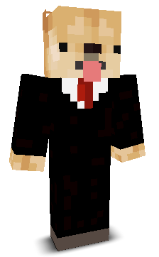 ZEBplace's skin