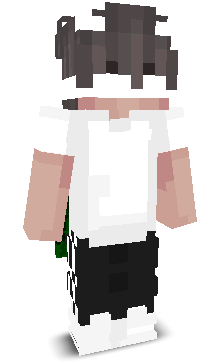 b2sh's skin