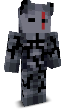 Ionfrfr's skin