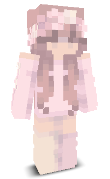 PrimeDonutsmp's skin