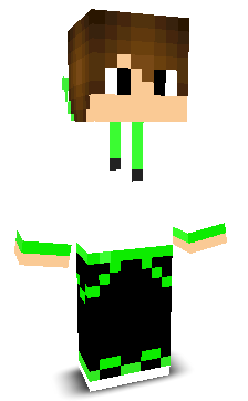theportracer's skin