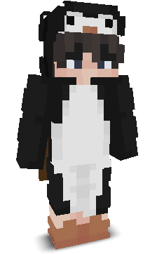 DragonFightCz's skin